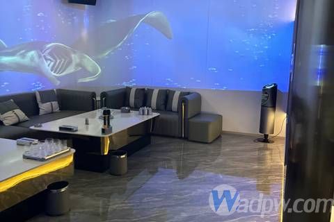 上海星辉国际夜总会KTV招聘，加入我们，走向财富之路