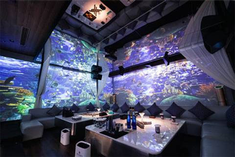 上海星辉国际夜场招聘提供住宿易上手，急聘福利再升级，等你来